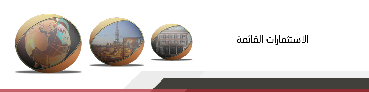 استثمارات الشركة