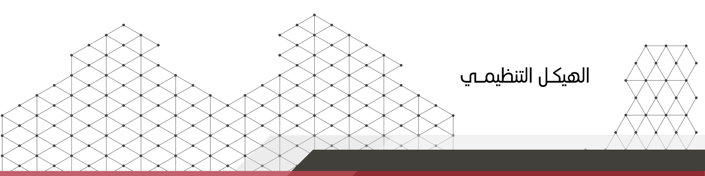 الهيكل التنظيمي